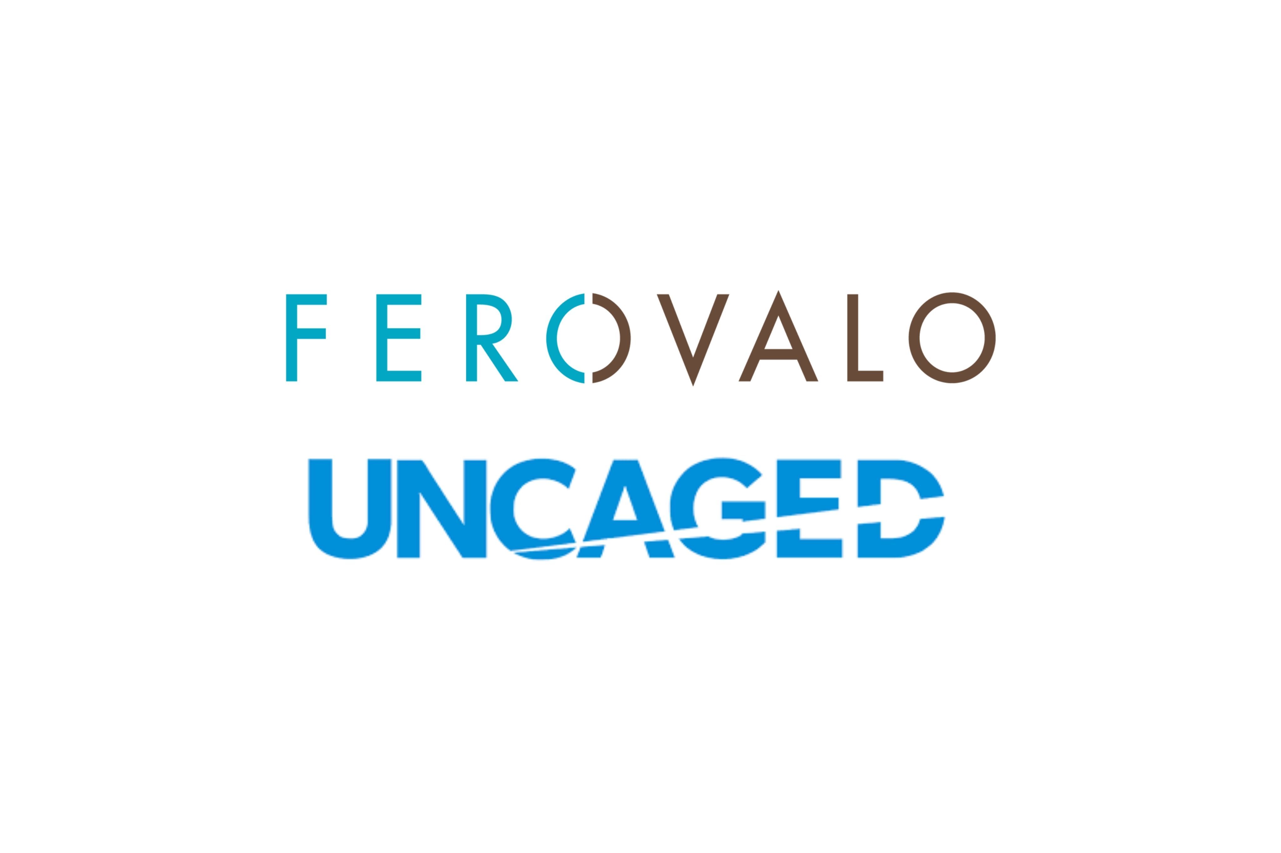 Elina Liehu from Ferovalo on the Uncaged business leadership podcast